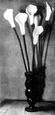 Mina Loy and Ezra Pound